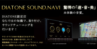 SAMPLE5