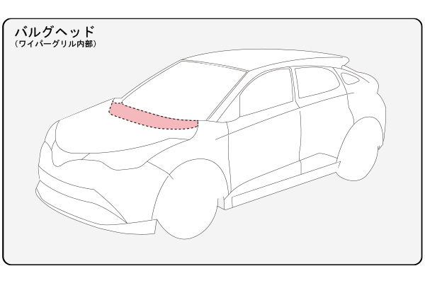 バルグヘッド